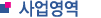 사업영역